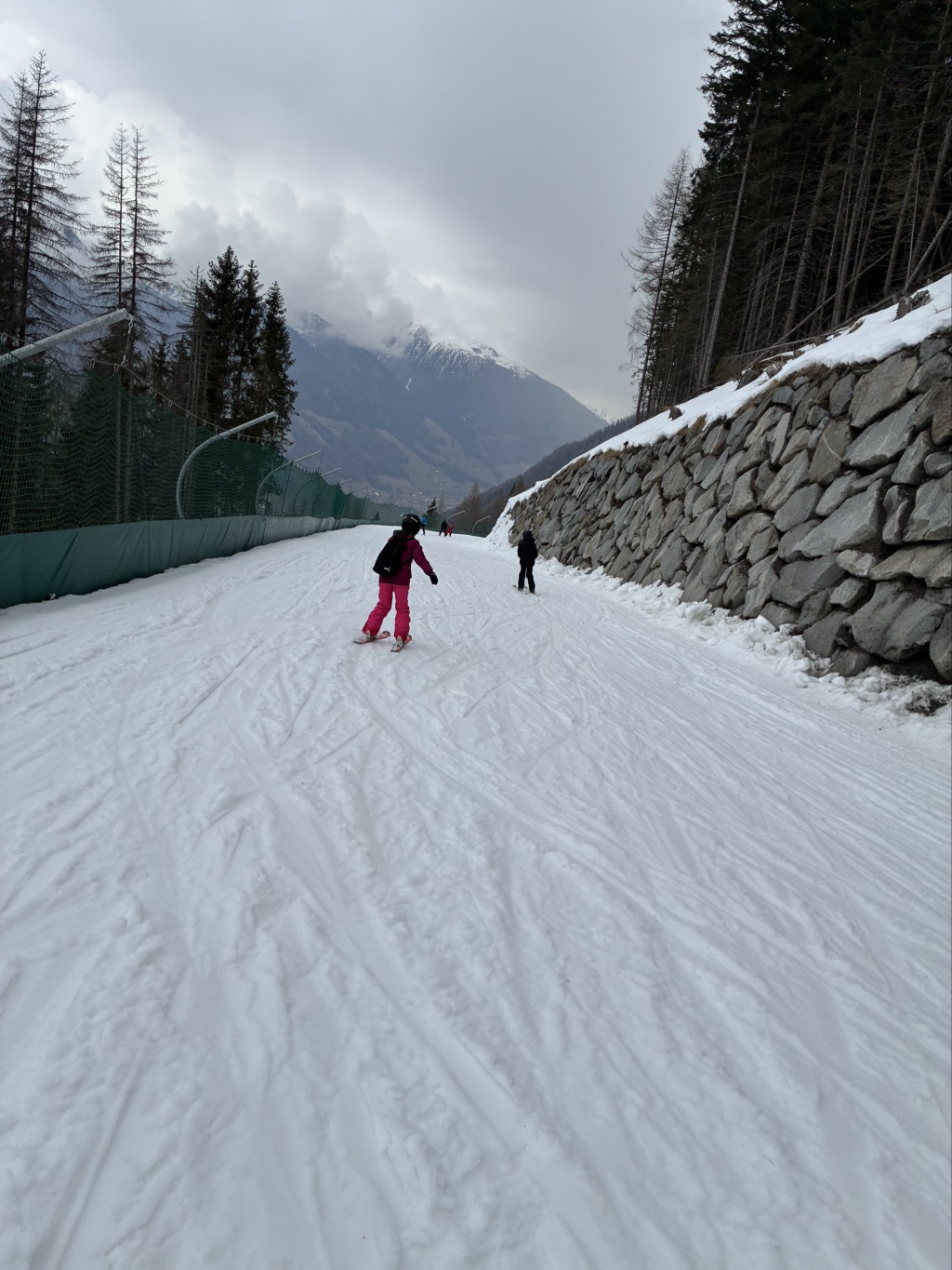 IMG 1951